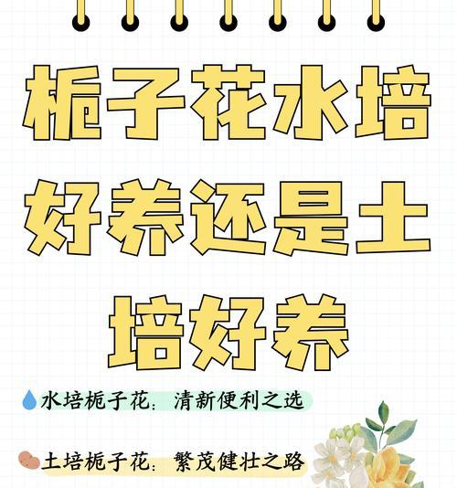 栀子花养护需要注意哪些方面？全方位的养护指南是什么？