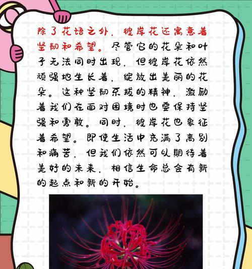 彼岸花的生长环境有哪些要求？它的特性是什么？