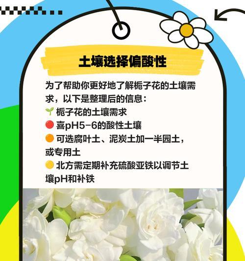 栀子花的养护攻略包括哪些方面？如何全方位养护栀子花？