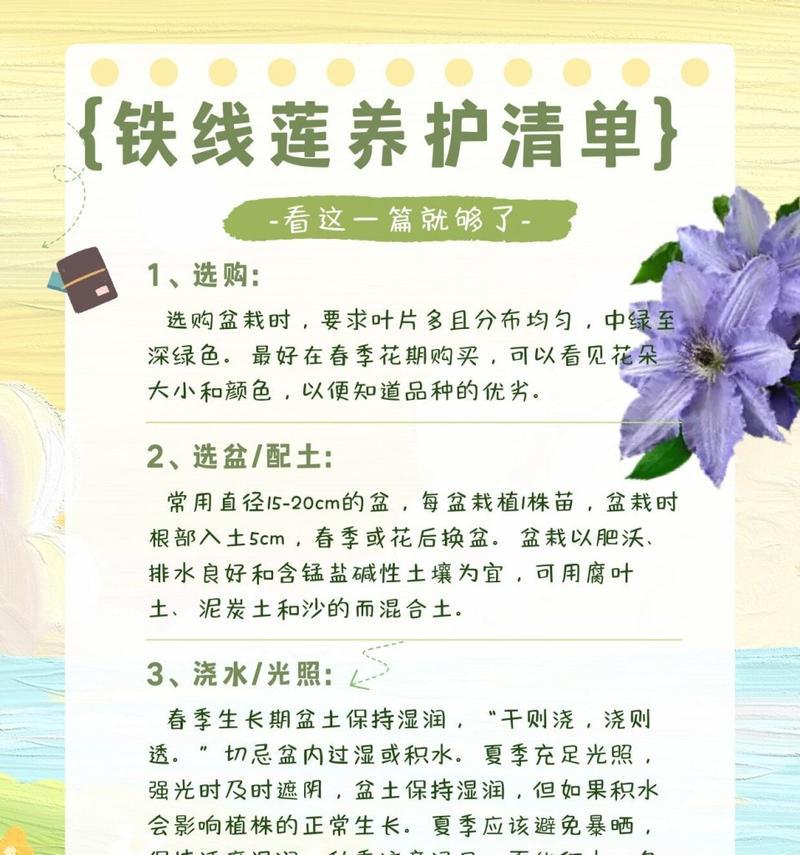 铁线莲养护秘籍？如何让铁线莲茁壮成长？