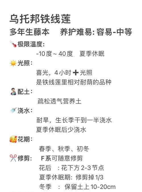 铁线莲养护秘籍？如何让铁线莲茁壮成长？