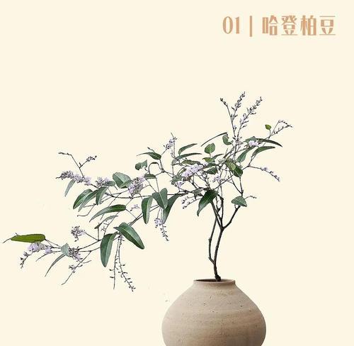 紫藤盆景花木如何种植？有哪些注意事项？
