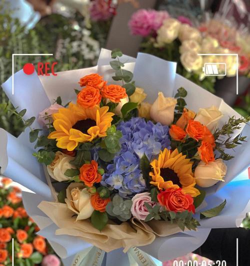 绣球花的花语是什么意思？太阳花开花时间解析！