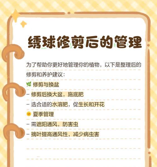 如何正确修剪未开花仙人球的枝条？
