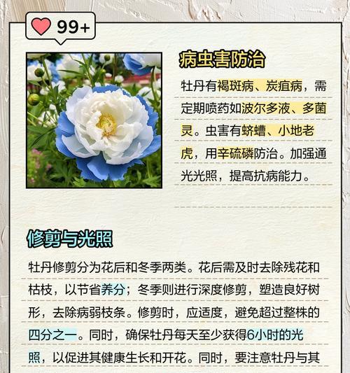 牡丹花长新芽的原因及处理方法是什么？