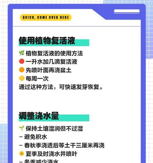 君子兰开花时叶子发黄的原因及解决办法？