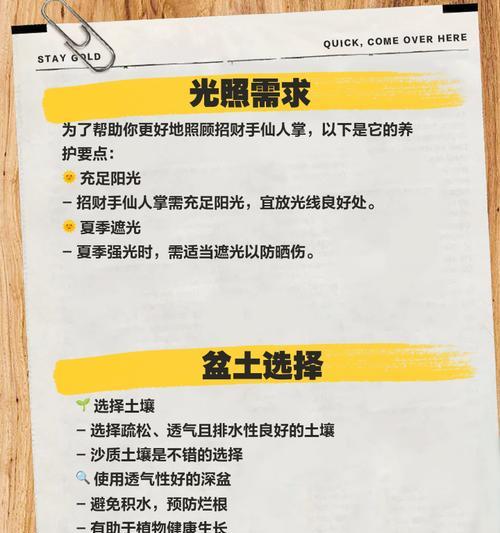 仙人掌发芽慢怎么办？如何快速促进仙人掌发芽？