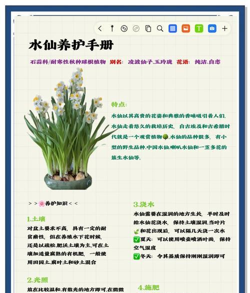 仙人掌开花后如何处理？有哪些后续养护要点？
