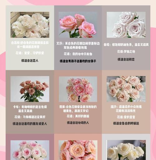 玫瑰花的管理技巧以保持美观？