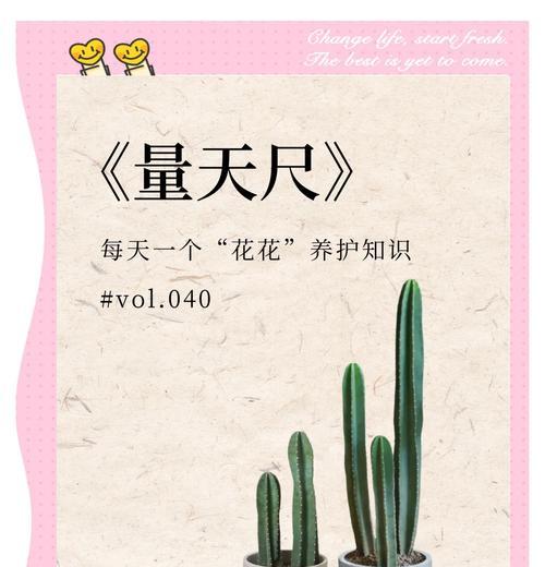 钓鱼大窝仙人掌开花的养殖技巧是什么？