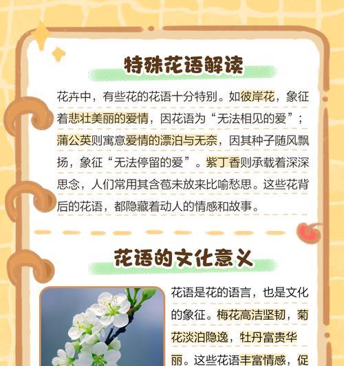 仙人掌肥料购买渠道有哪些？