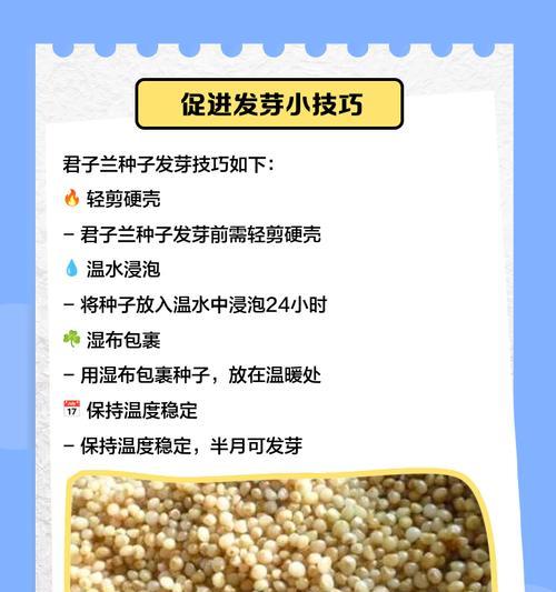 君子兰出芽栽种提高成活率的方法是什么？