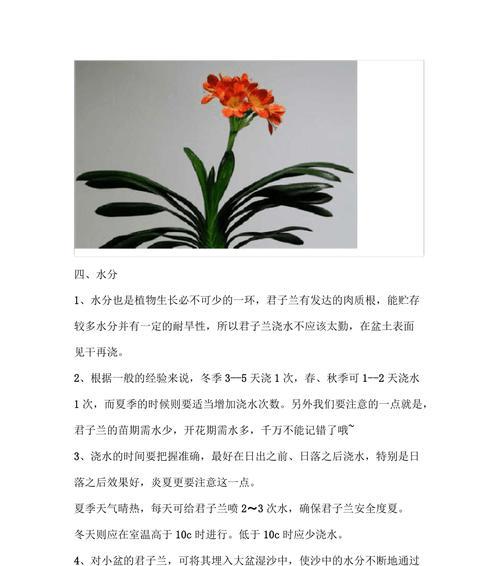 君子兰养殖有哪些品种和方法？