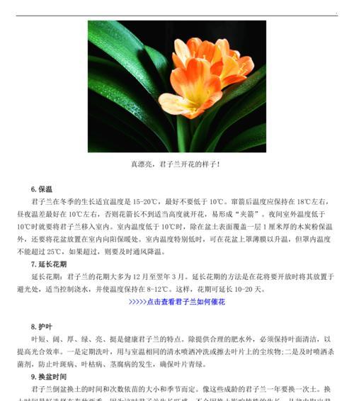 君子兰养殖有哪些品种和方法？