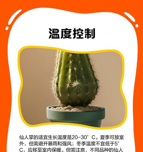 五星仙人掌的养殖技巧和注意事项是什么？