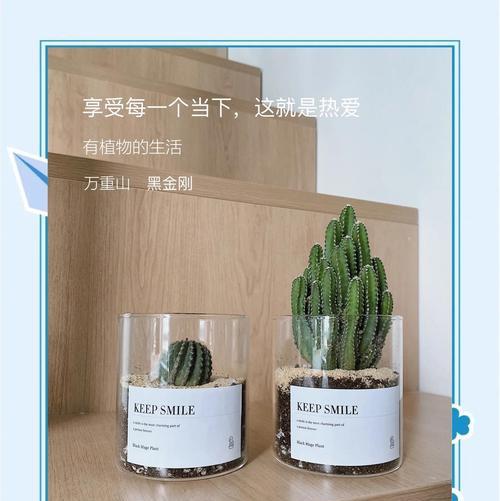 五星仙人掌的养殖技巧和注意事项是什么？