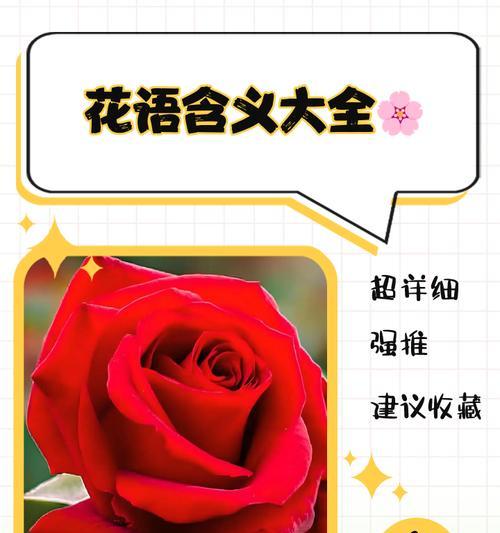 对对红的花语代表什么含义？