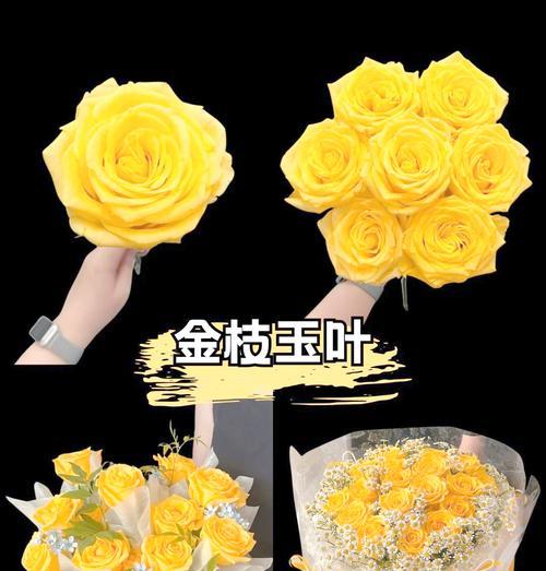 三只黄玫瑰的花语是什么？黄玫瑰三朵代表什么意义？