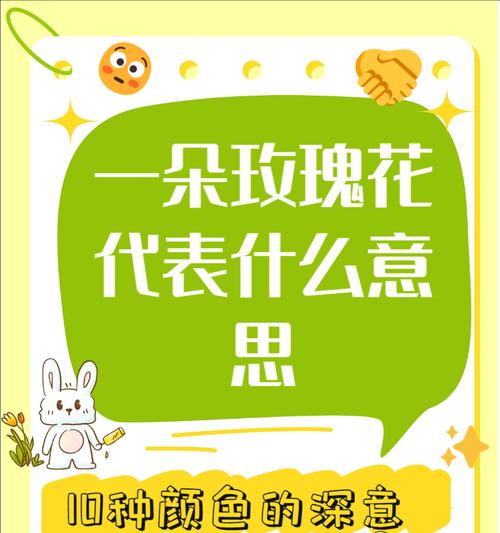 不同颜色玫瑰的花语分别是什么？玫瑰花代表什么？