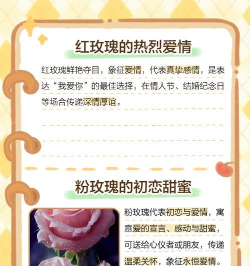 不同颜色玫瑰的花语分别是什么？玫瑰花代表什么？