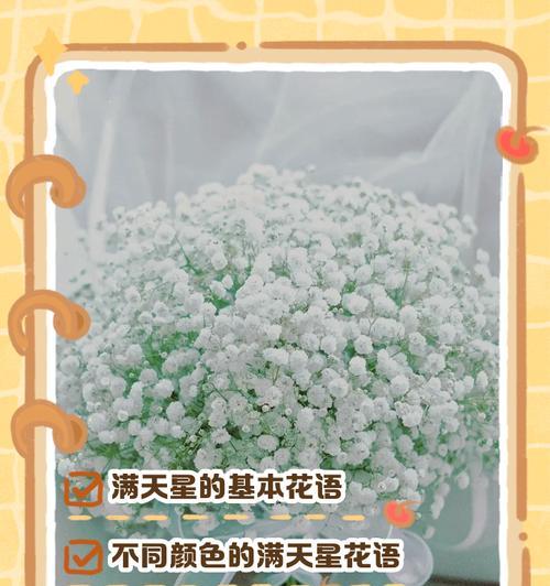 满天星花语是否代表友谊？满天星的寓意是什么？