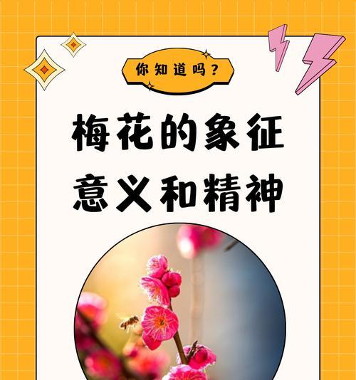 小组的组花的花语和寓意是什么？它代表了什么？
