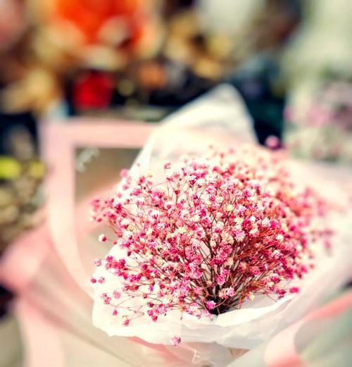 中华满天星花束的花语含义是什么？