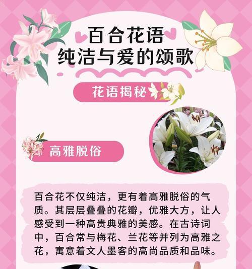 冬天盛开的花有哪些？它们各自的花语是什么？