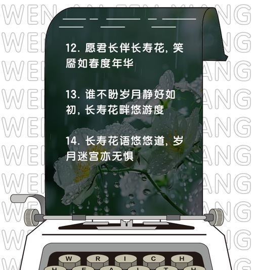 长寿花的花语和寓意是什么？
