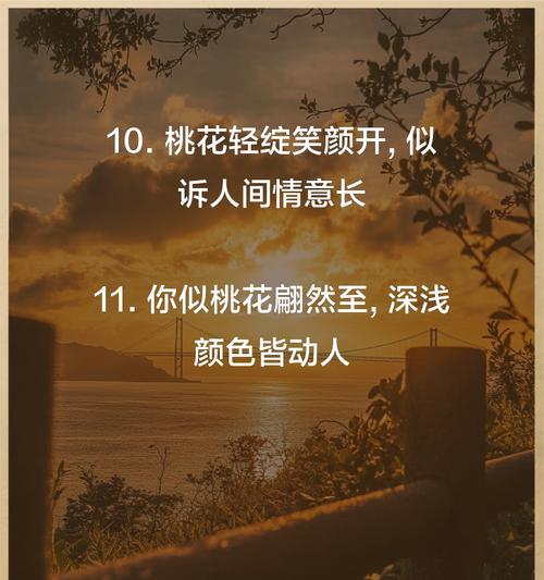 桃花的花语如何形容？它通常代表了什么？