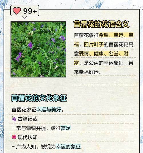 温馨感觉的花语通常由哪些花来表达？