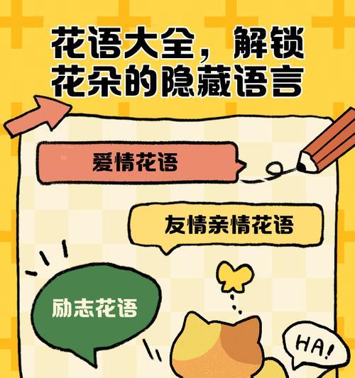 每种花的花语都有什么故事？花语大全解析！