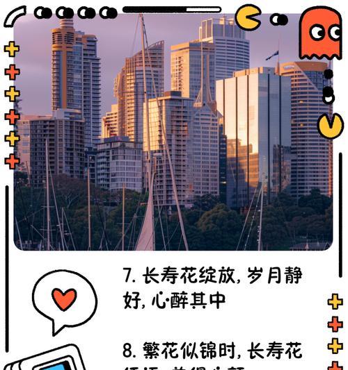 长寿花的花语和寓意有哪些？