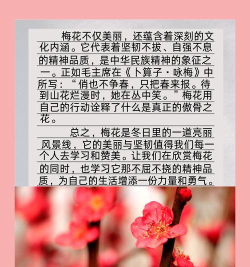梅花的花语具体是什么意思？
