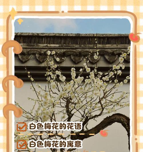 梅花的花语具体是什么意思？