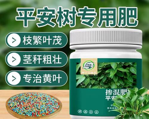 平安树炭疽病如何防治？有效治疗方法有哪些？