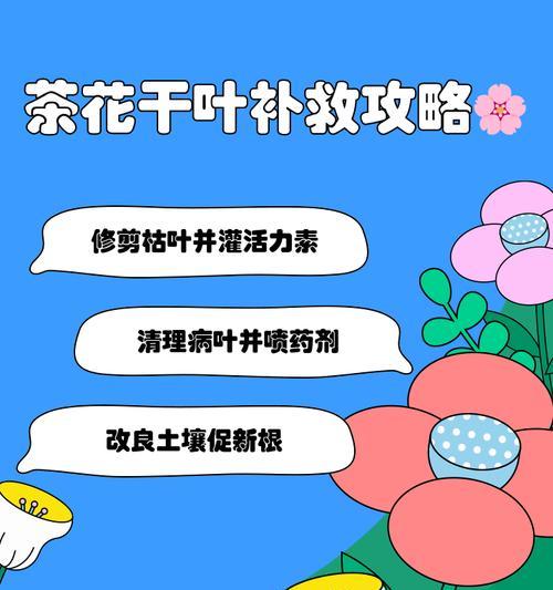 花干尖怎么办？如何处理植物的干尖问题？