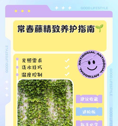 常春藤修剪的最佳时机是什么时候？
