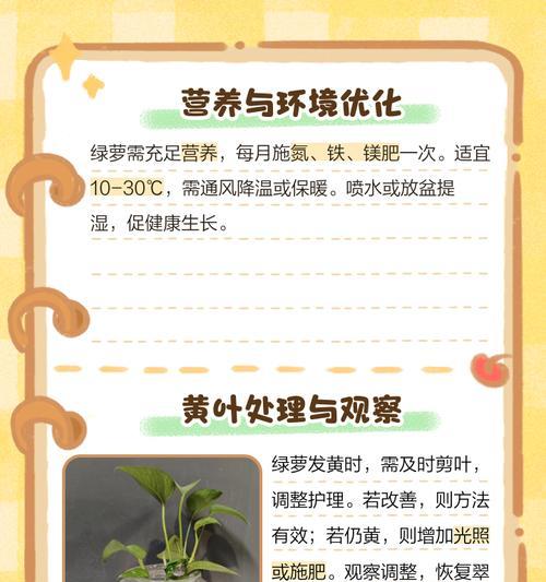 绿萝叶子变黄的可能原因及解决措施是什么？