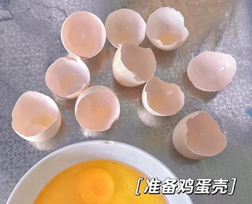 蛋壳在养花中的正确使用方法是什么？