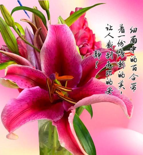 仙人指移植的正确步骤是什么？