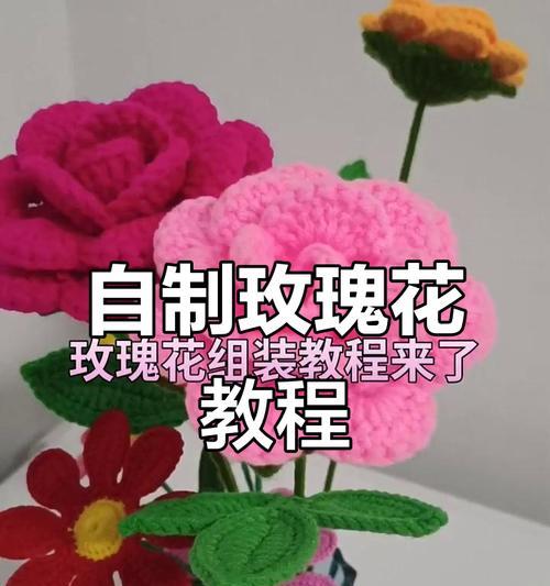 玫瑰玫瑰怎么种植才能开出美丽的花朵？