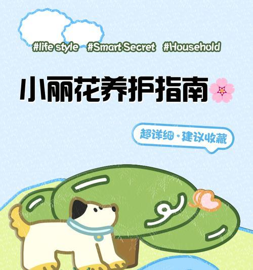 小丽花种子的种植步骤有哪些？