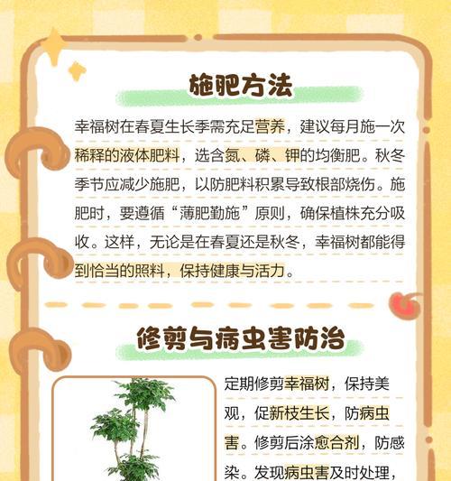 幸福树的正确养殖方法是什么？