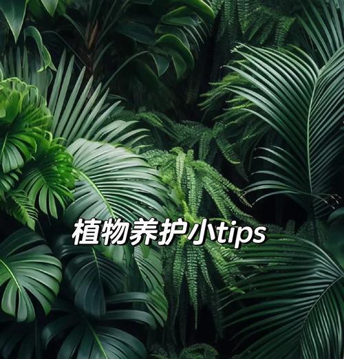 植物换盆的最佳时间和方法是什么？