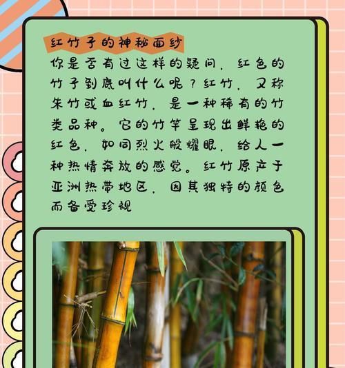 竹子种植的正确方法是什么？如何种植竹子？