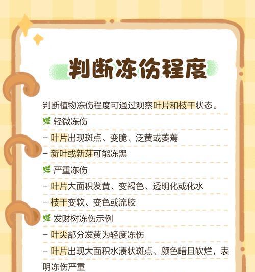 植物出现焉了现象应该怎么办？