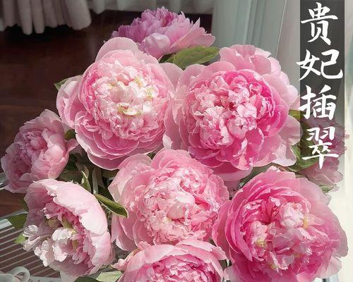 牡丹花浇水方法是什么？