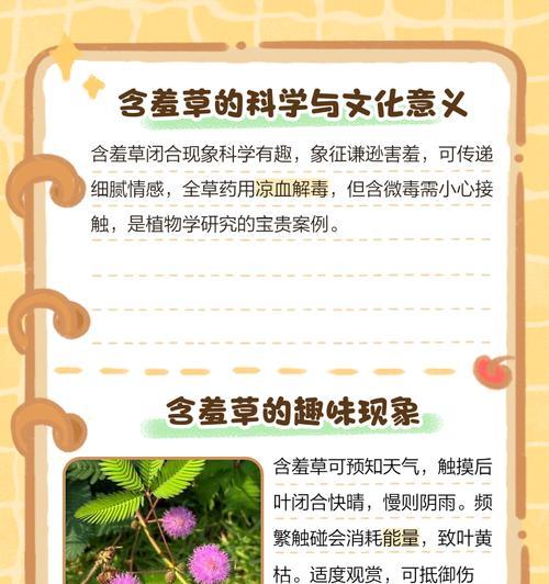含羞草生长过程中的特点是什么？