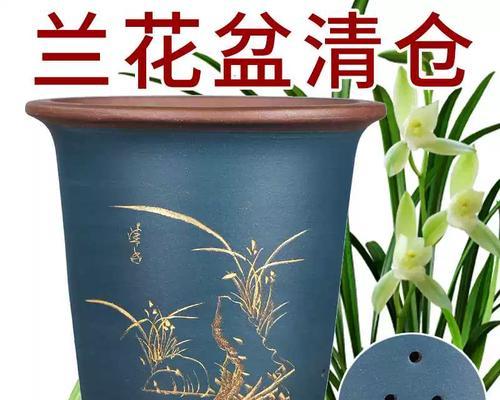 兰花分盆栽步骤是什么？